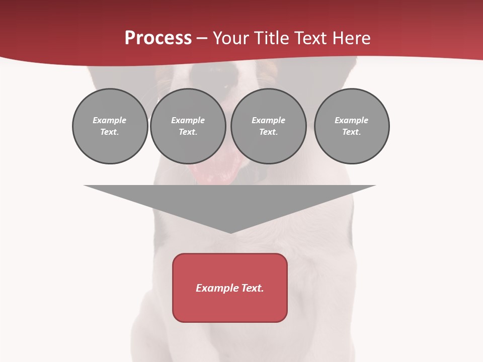 Room Happy Profe Ional PowerPoint Template