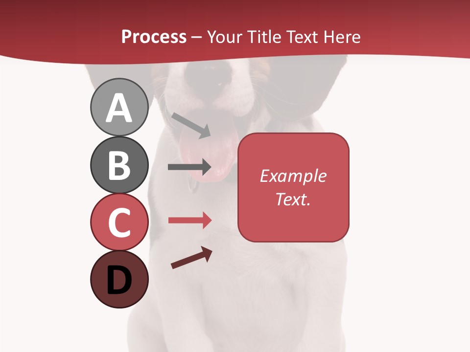 Room Happy Profe Ional PowerPoint Template