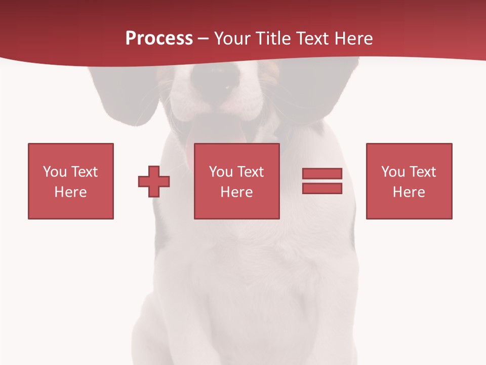 Room Happy Profe Ional PowerPoint Template