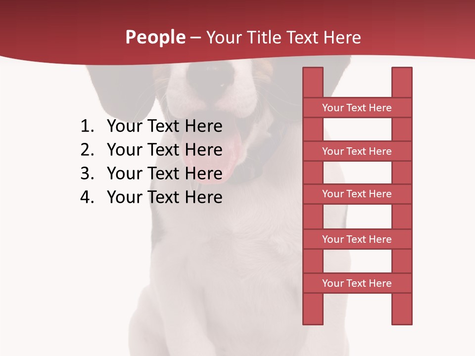 Room Happy Profe Ional PowerPoint Template