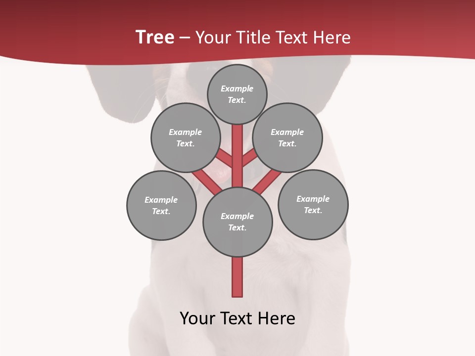 Room Happy Profe Ional PowerPoint Template