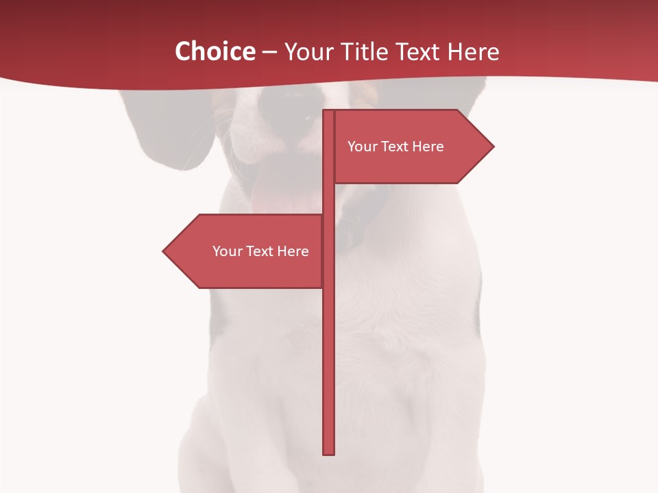 Room Happy Profe Ional PowerPoint Template