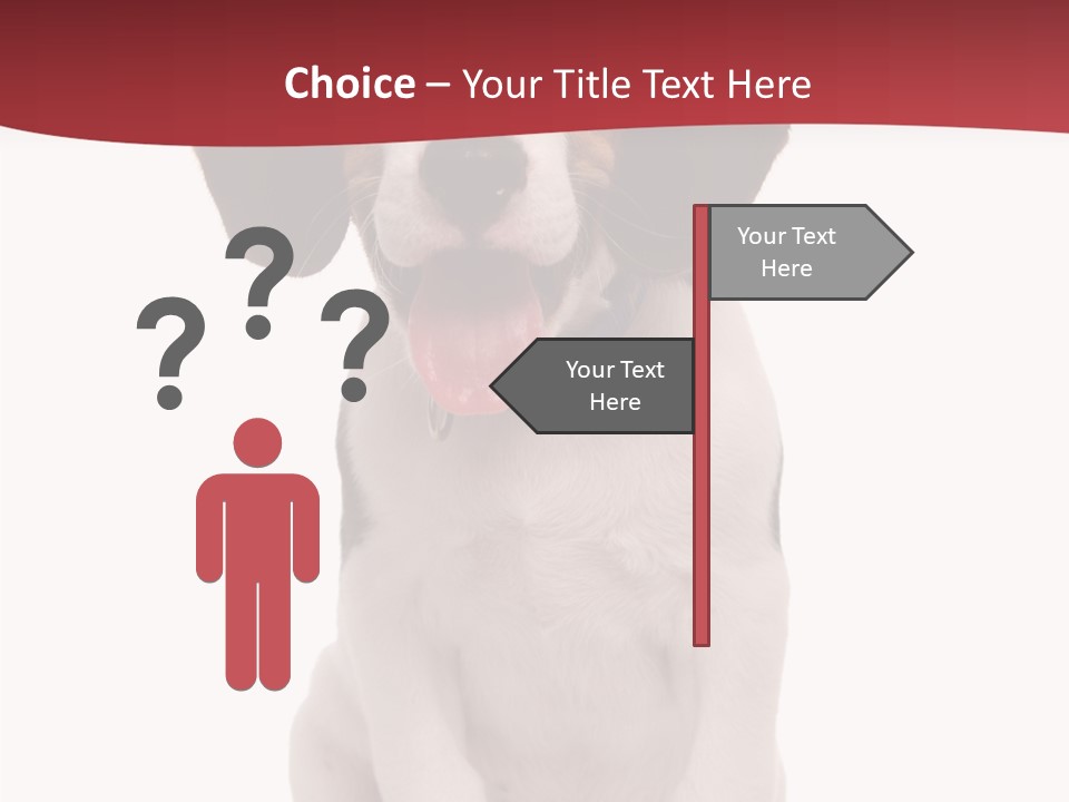 Room Happy Profe Ional PowerPoint Template