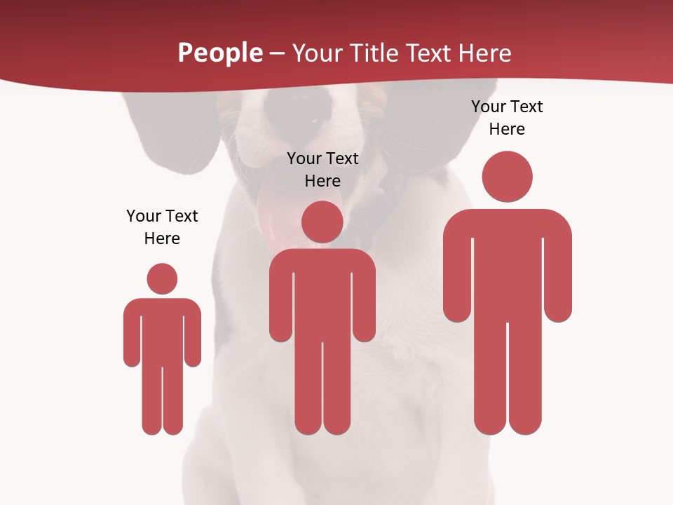 Room Happy Profe Ional PowerPoint Template