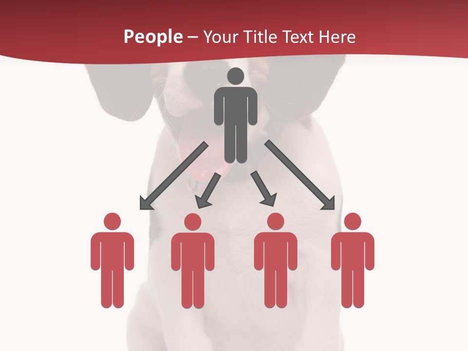 Room Happy Profe Ional PowerPoint Template