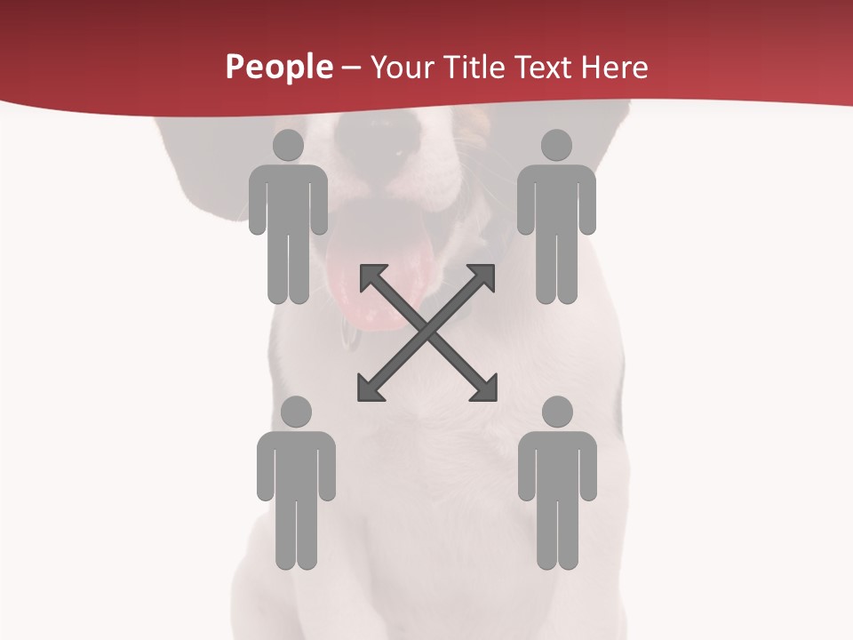 Room Happy Profe Ional PowerPoint Template