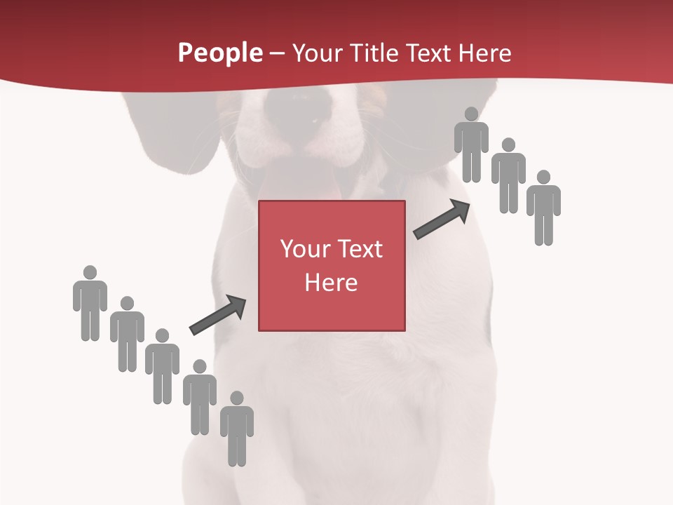 Room Happy Profe Ional PowerPoint Template