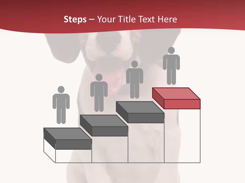 Room Happy Profe Ional PowerPoint Template