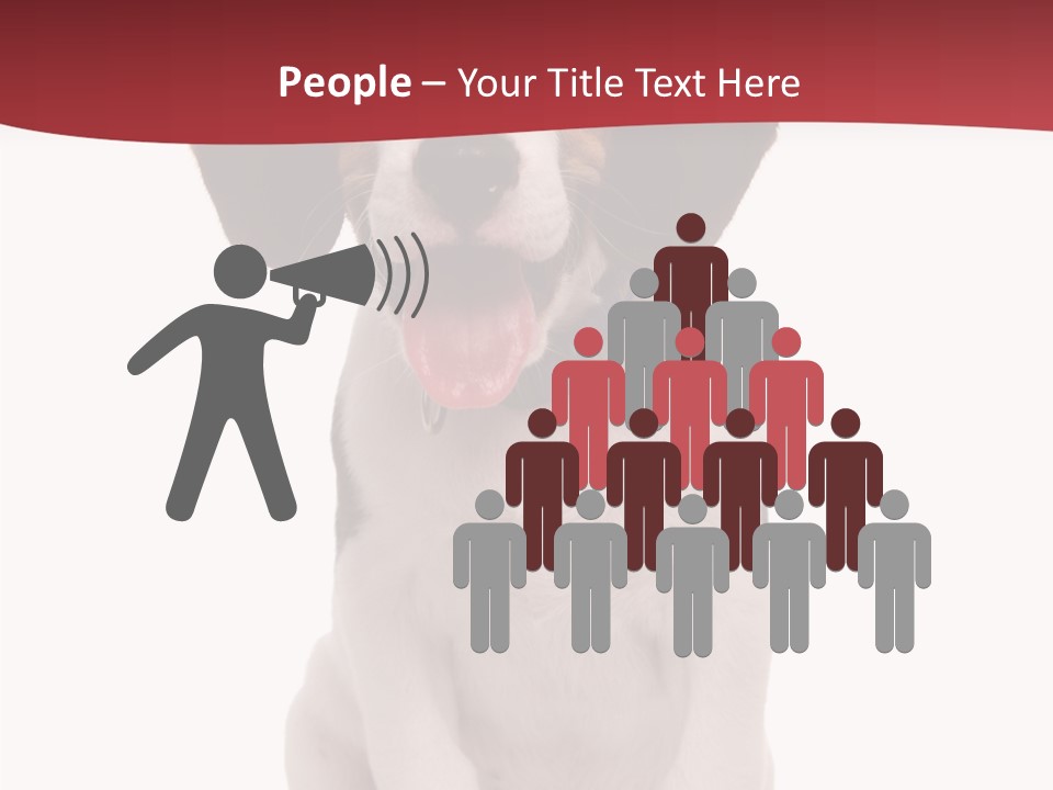 Room Happy Profe Ional PowerPoint Template