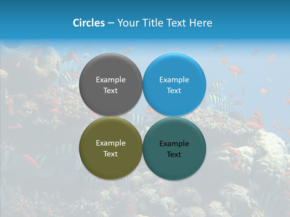 Scuba Diversity Nature PowerPoint Template