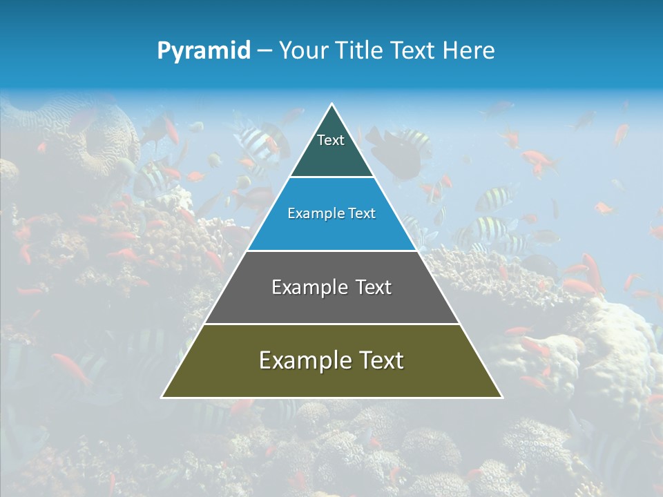 Scuba Diversity Nature PowerPoint Template