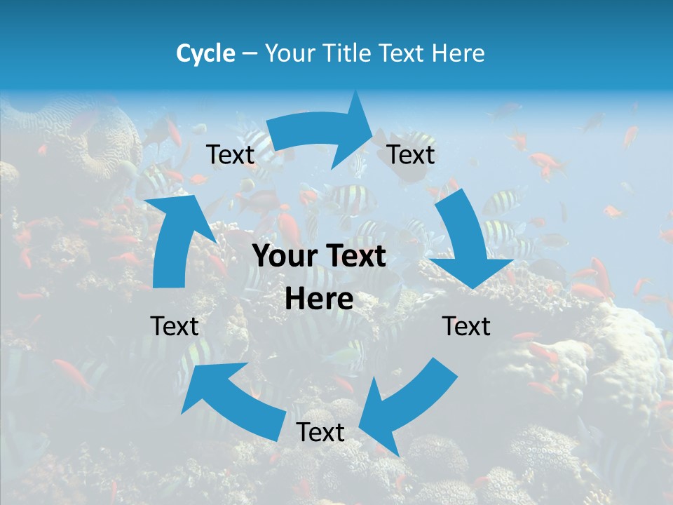 Scuba Diversity Nature PowerPoint Template