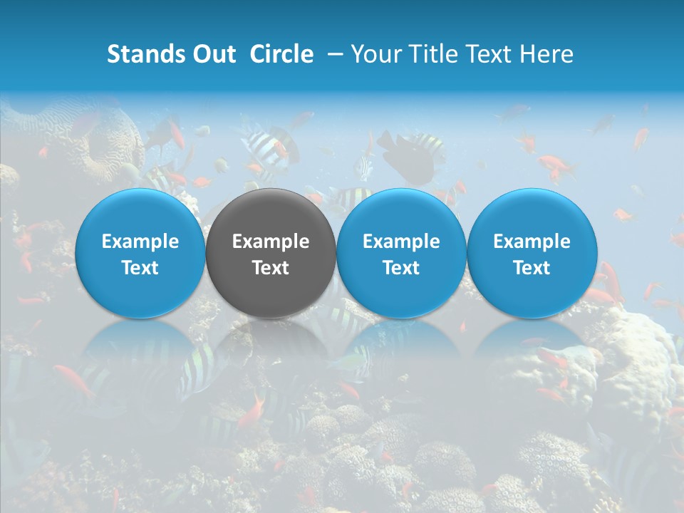 Scuba Diversity Nature PowerPoint Template