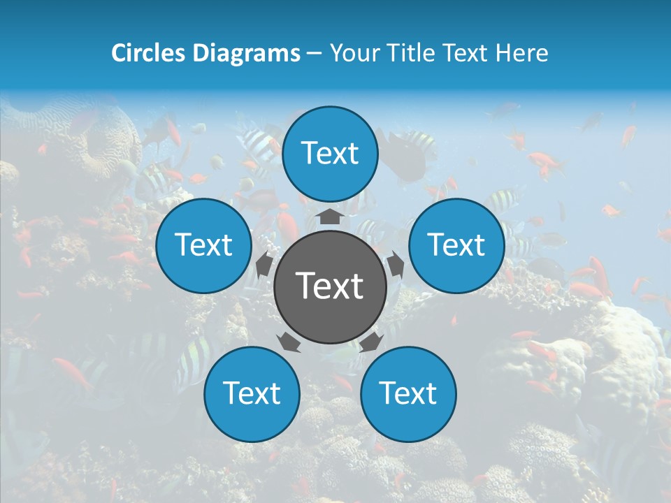 Scuba Diversity Nature PowerPoint Template