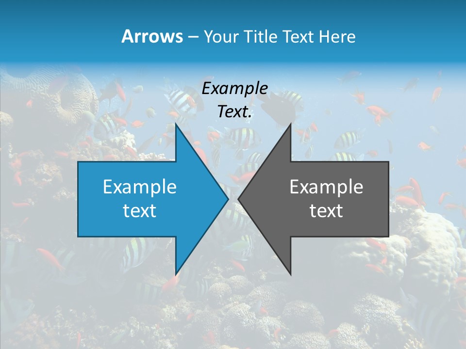 Scuba Diversity Nature PowerPoint Template