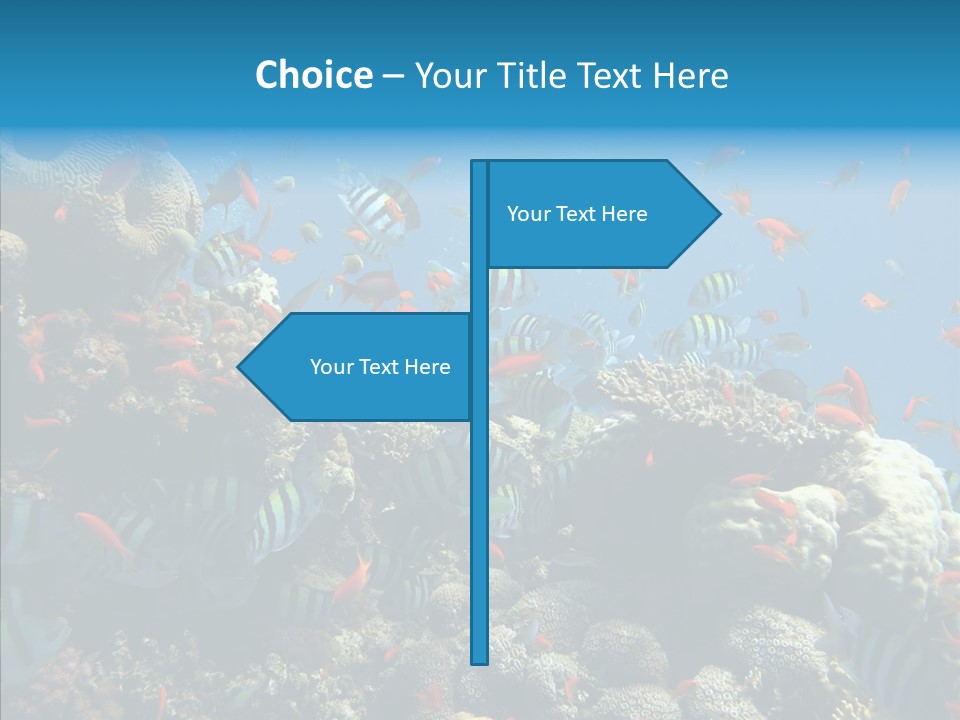 Scuba Diversity Nature PowerPoint Template