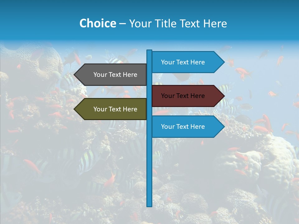 Scuba Diversity Nature PowerPoint Template