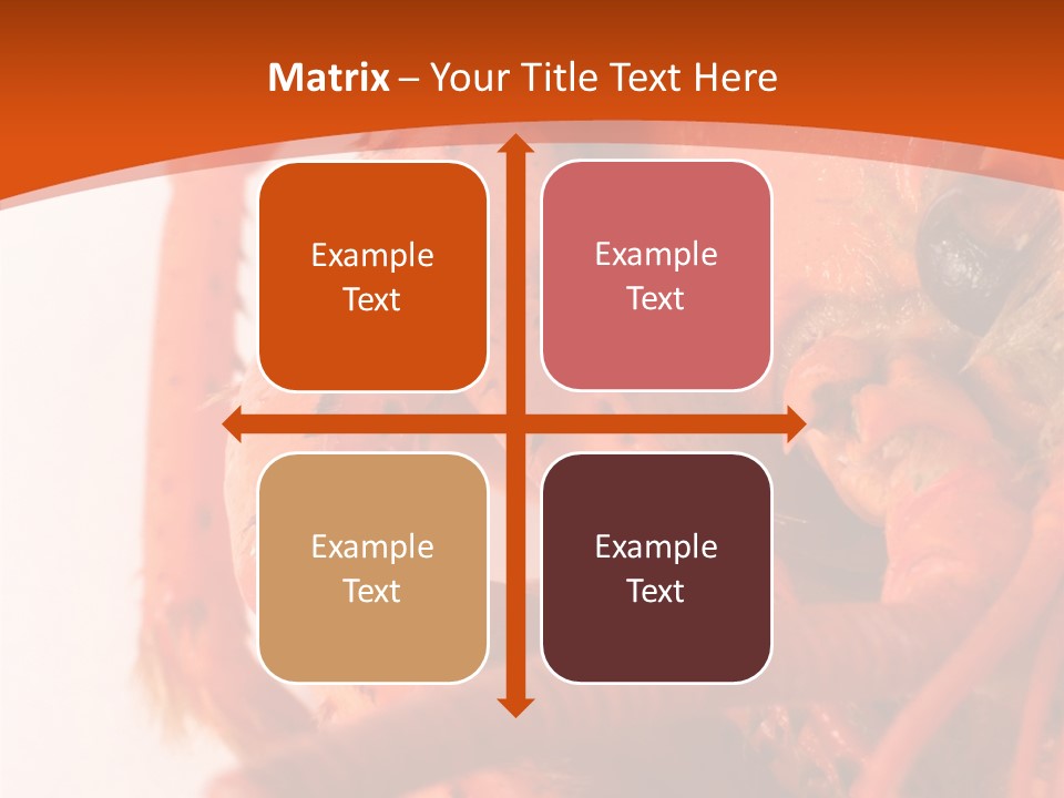 People Di Cu Ion Toon PowerPoint Template