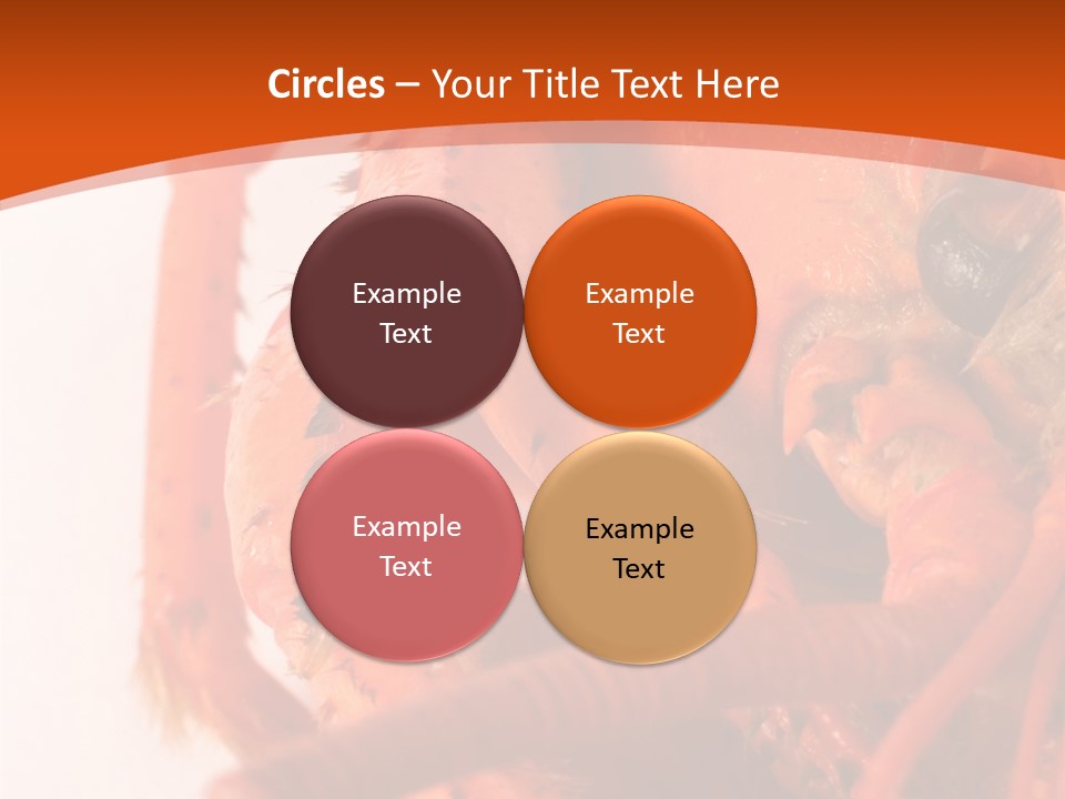 People Di Cu Ion Toon PowerPoint Template