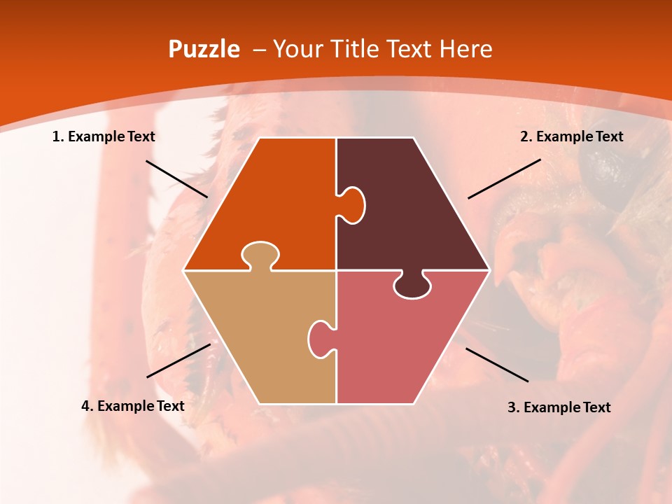 People Di Cu Ion Toon PowerPoint Template