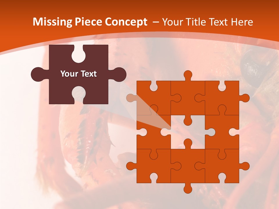 People Di Cu Ion Toon PowerPoint Template