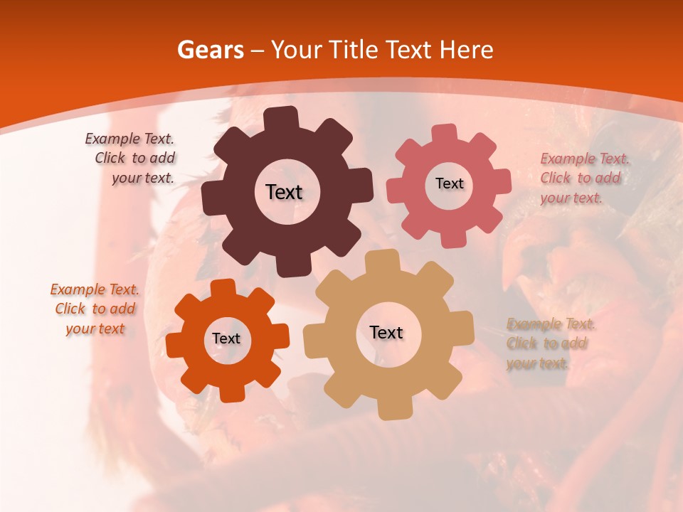 People Di Cu Ion Toon PowerPoint Template