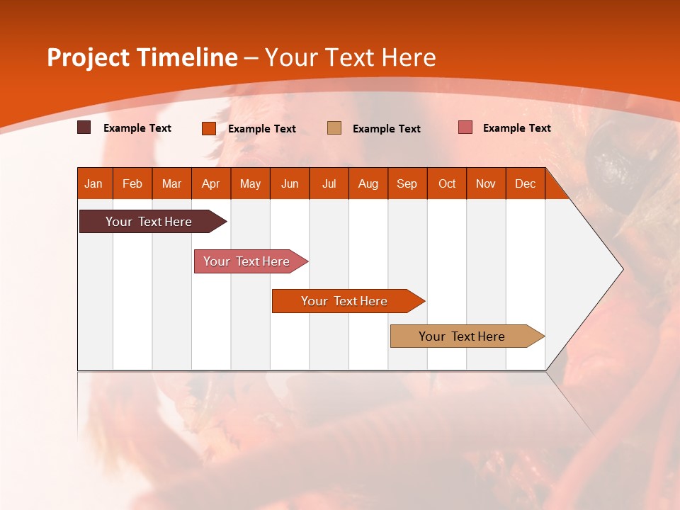 People Di Cu Ion Toon PowerPoint Template