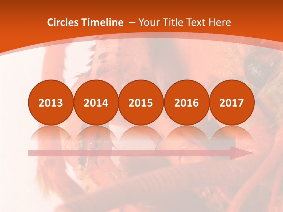 People Di Cu Ion Toon PowerPoint Template