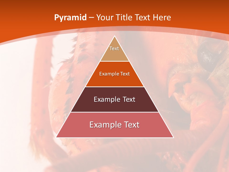 People Di Cu Ion Toon PowerPoint Template