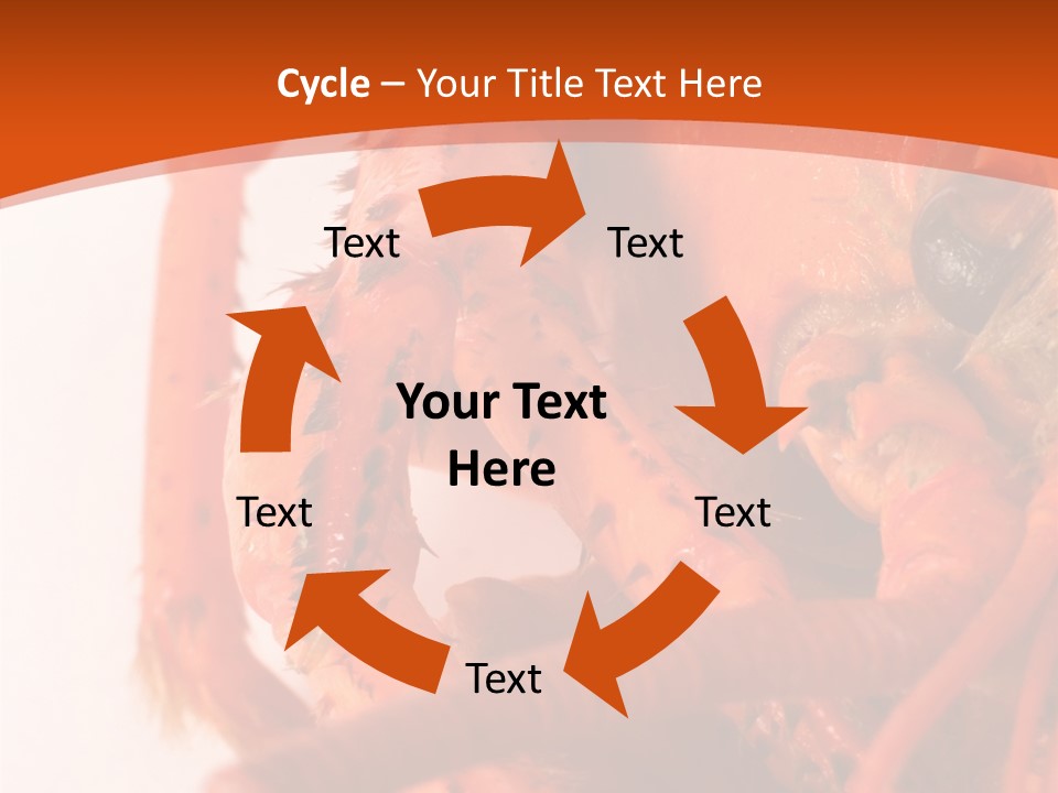 People Di Cu Ion Toon PowerPoint Template