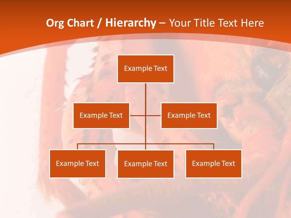 People Di Cu Ion Toon PowerPoint Template