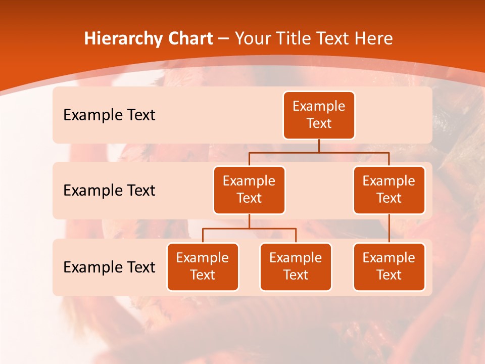 People Di Cu Ion Toon PowerPoint Template