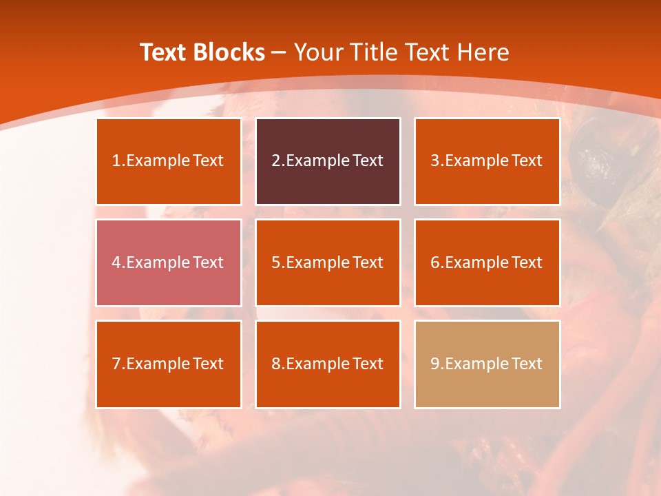 People Di Cu Ion Toon PowerPoint Template