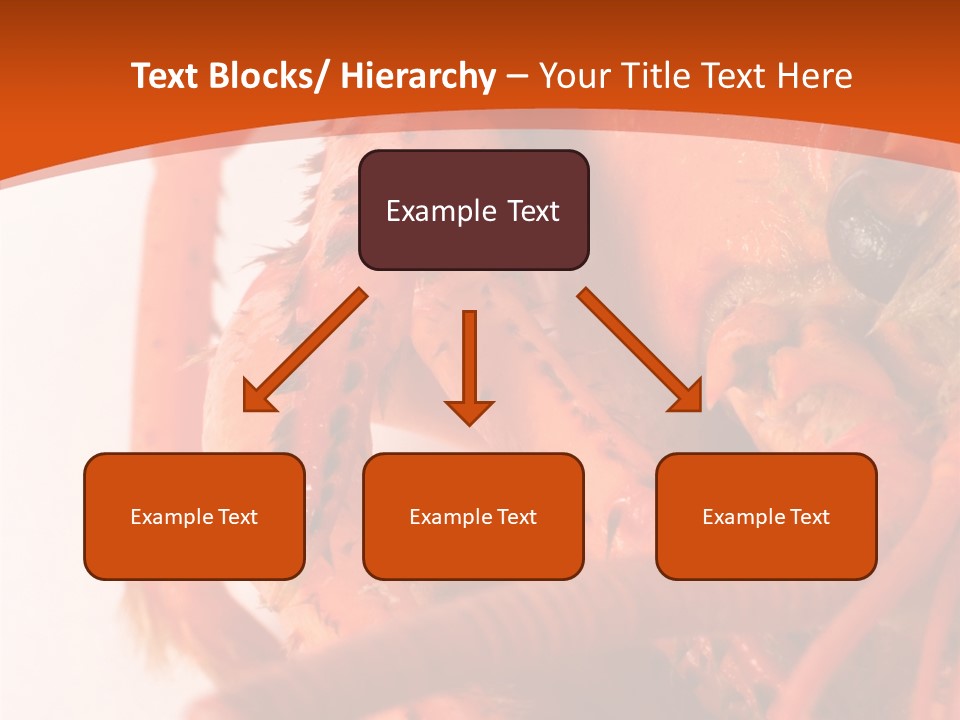 People Di Cu Ion Toon PowerPoint Template