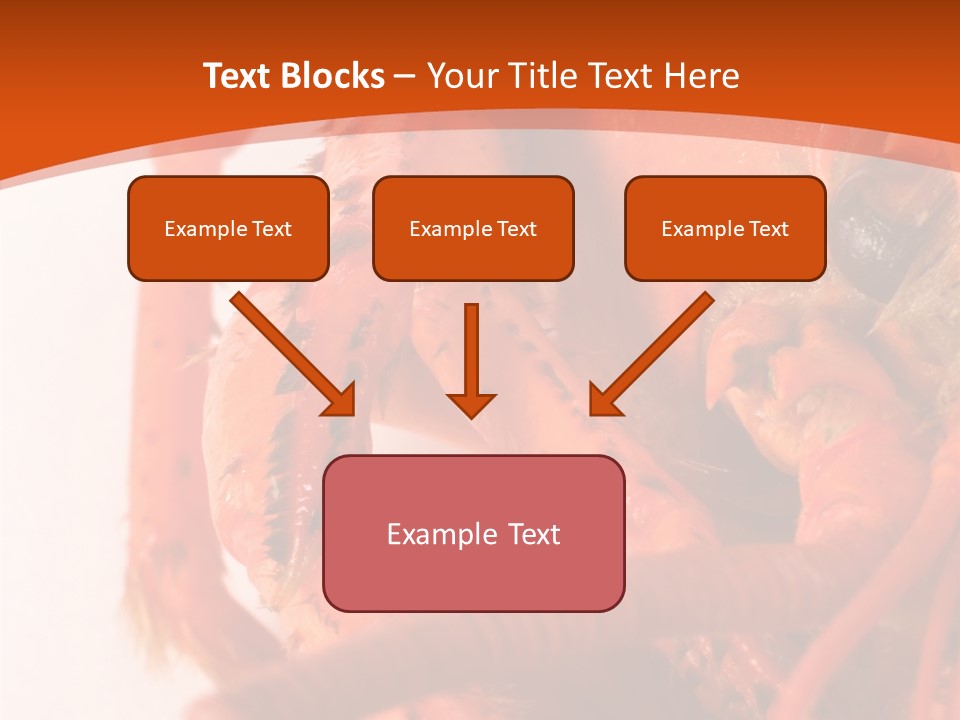 People Di Cu Ion Toon PowerPoint Template