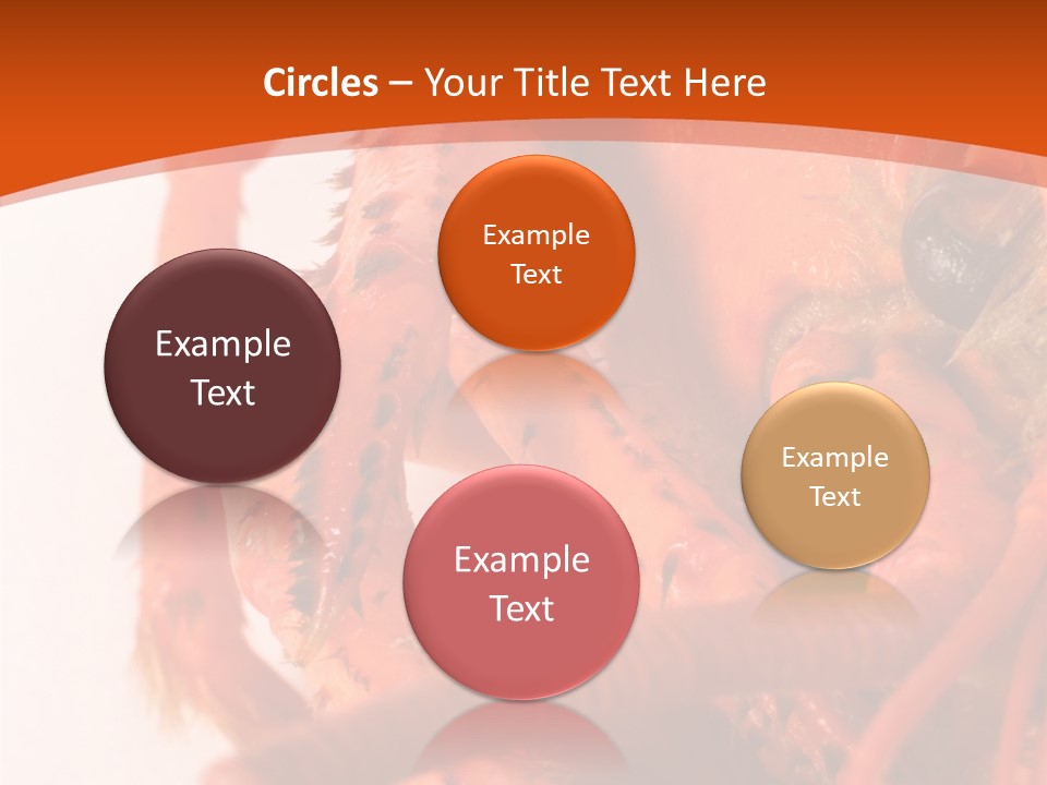 People Di Cu Ion Toon PowerPoint Template