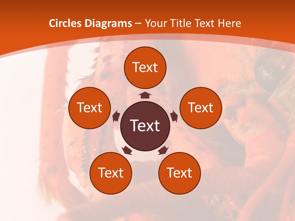 People Di Cu Ion Toon PowerPoint Template