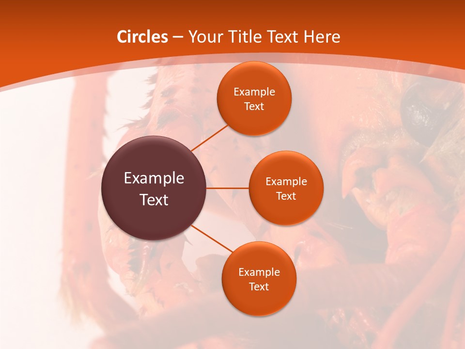 People Di Cu Ion Toon PowerPoint Template