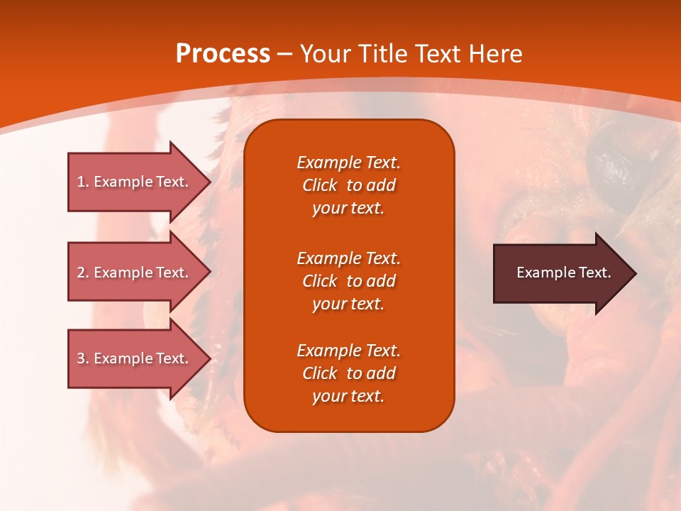 People Di Cu Ion Toon PowerPoint Template
