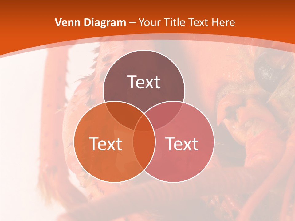 People Di Cu Ion Toon PowerPoint Template