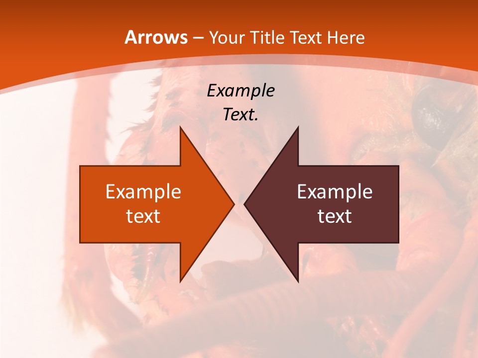 People Di Cu Ion Toon PowerPoint Template