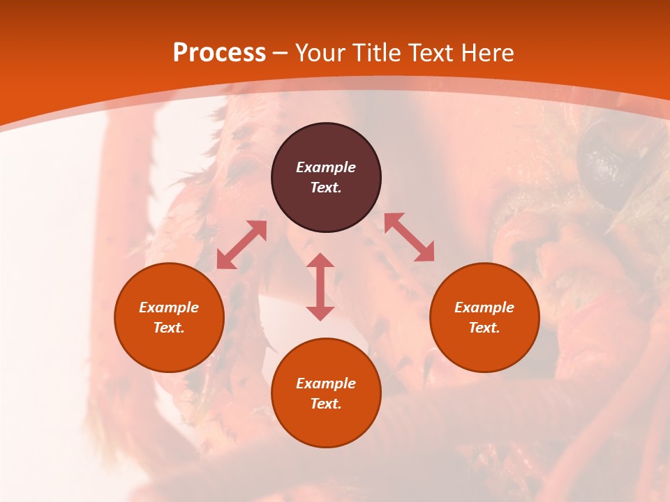 People Di Cu Ion Toon PowerPoint Template