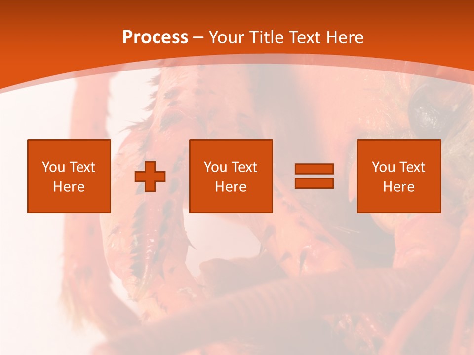 People Di Cu Ion Toon PowerPoint Template