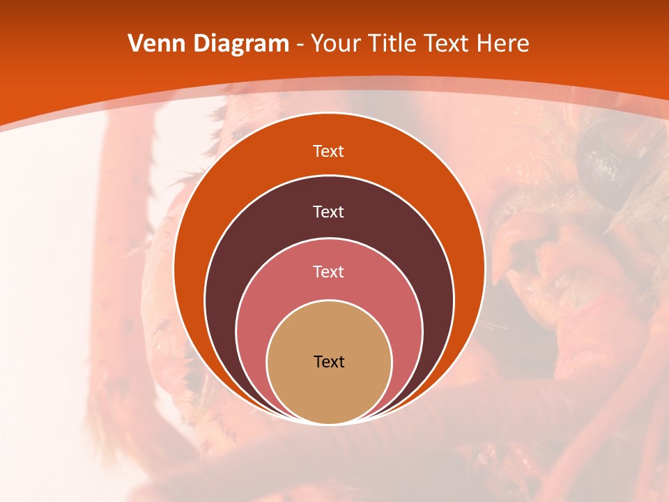 People Di Cu Ion Toon PowerPoint Template