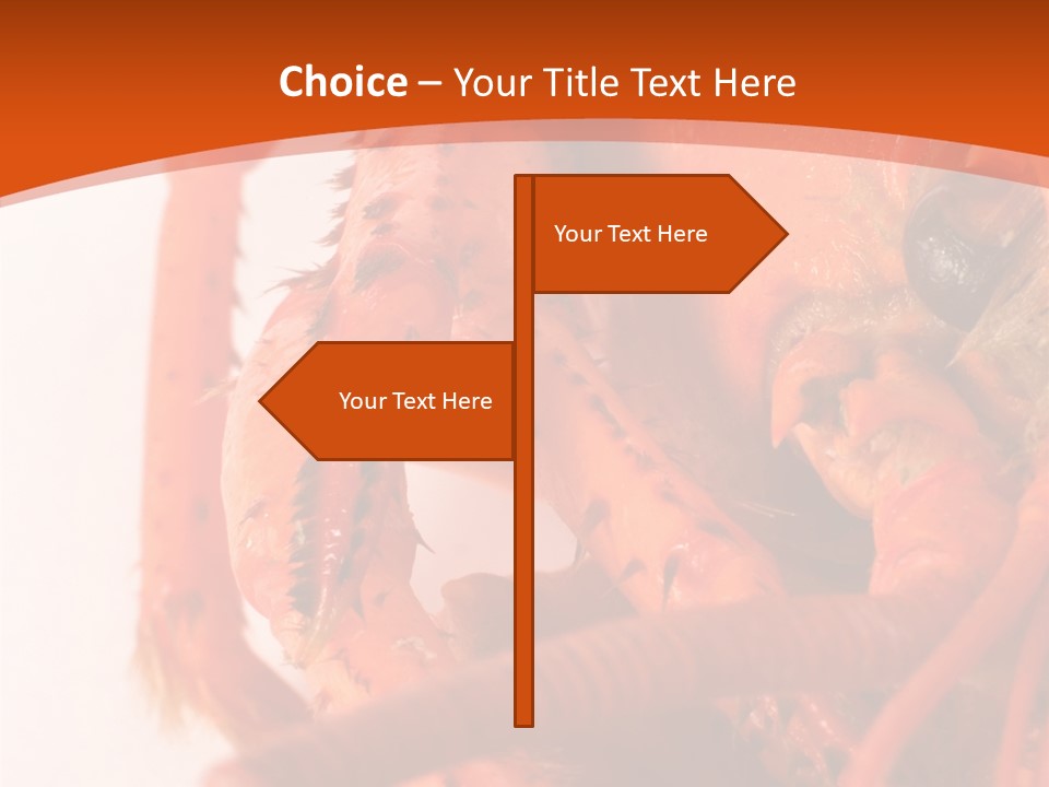 People Di Cu Ion Toon PowerPoint Template