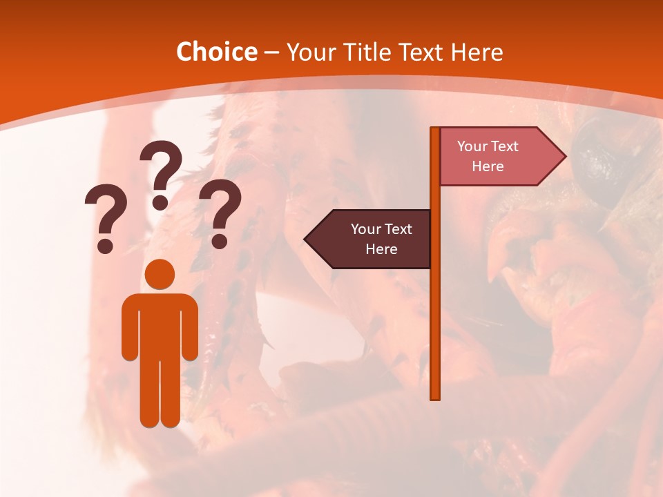 People Di Cu Ion Toon PowerPoint Template