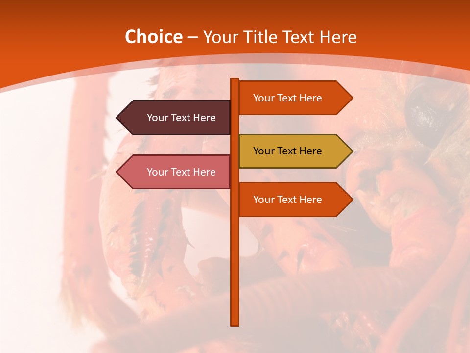 People Di Cu Ion Toon PowerPoint Template