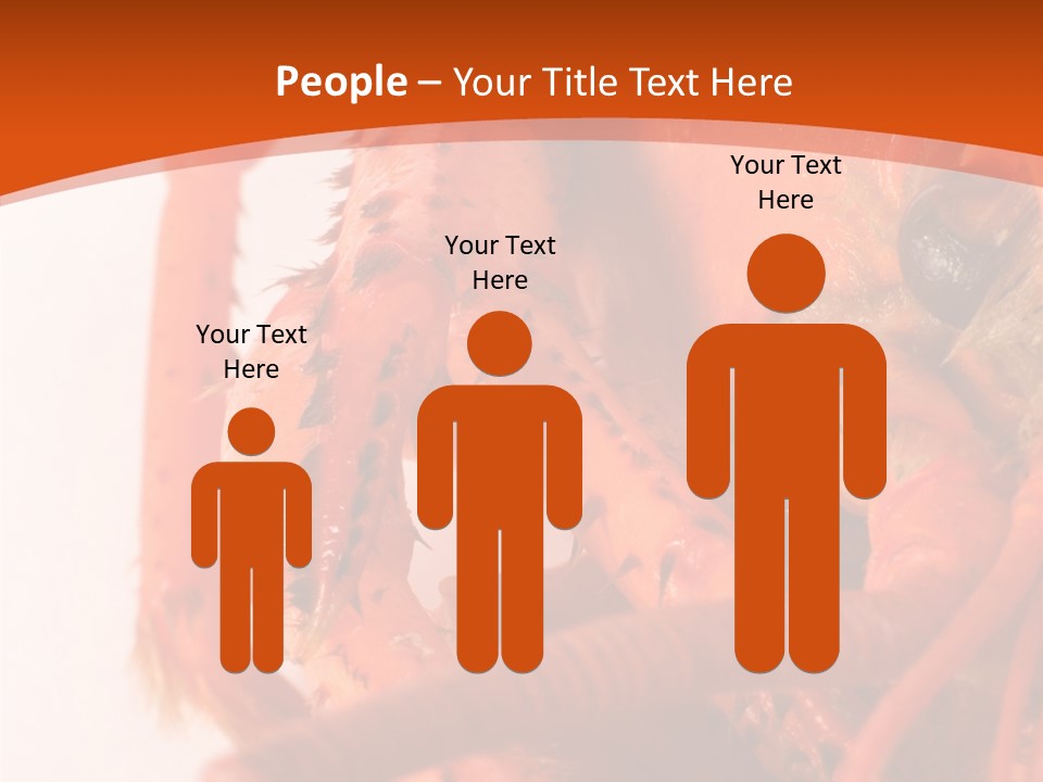 People Di Cu Ion Toon PowerPoint Template