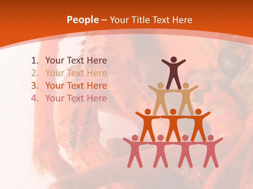 People Di Cu Ion Toon PowerPoint Template