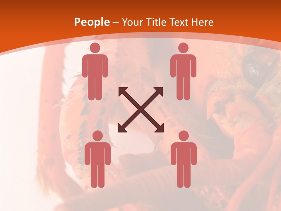 People Di Cu Ion Toon PowerPoint Template